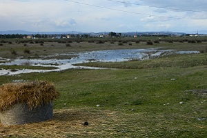 Area umida